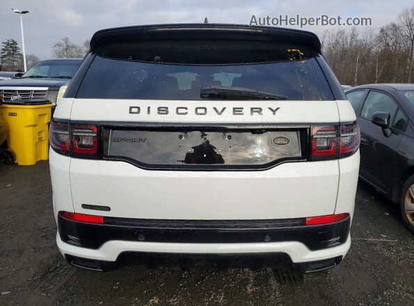 SALCT2FXXLH841763 2020 LAND ROVER DISCOVERY White Вид ззаду