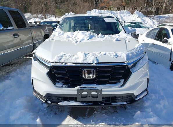 7FARS4H79RE001709 2024 HONDA CR-V Gray უკანა სალონის ხედი