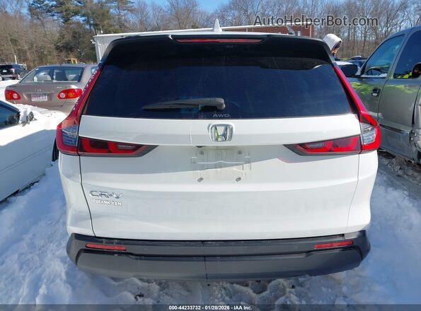 7FARS4H79RE001709 2024 HONDA CR-V Gray 