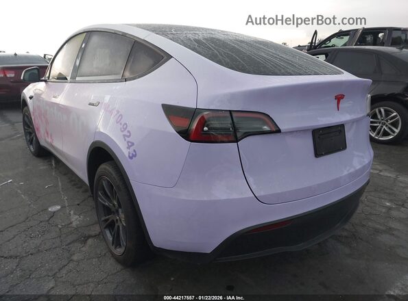 7SAYGDED5SF249158 2025 TESLA MODEL Y Pink Հետևի ձախ