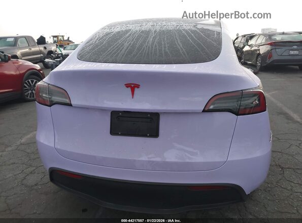 7SAYGDED5SF249158 2025 TESLA MODEL Y Pink 