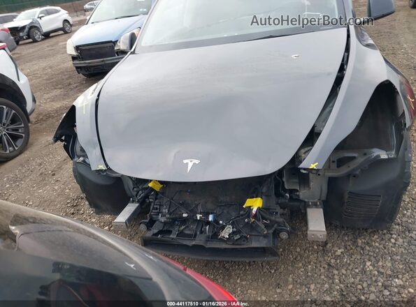 7SAYGDED6SF243935 2025 TESLA MODEL Y Gray 