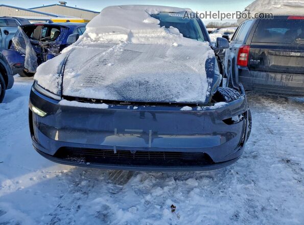 7SAYGDEE7TA397299 2026 TESLA MODEL Black Vista frontal