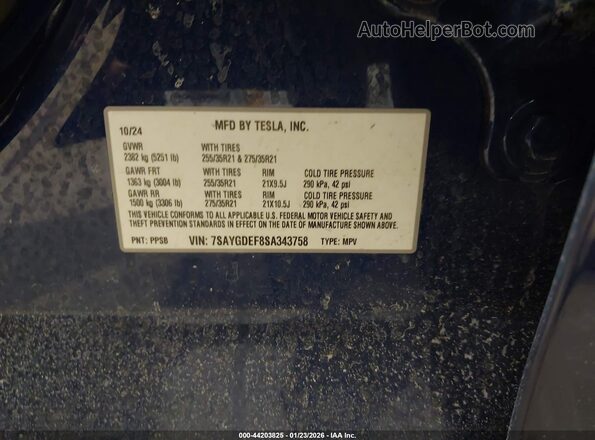 7SAYGDEF8SA343758 2025 TESLA MODEL Y Blue 