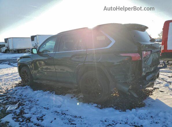 7SVAAABA1PX003235 2023 TOYOTA SEQUOIA Green Trasero izquierdo