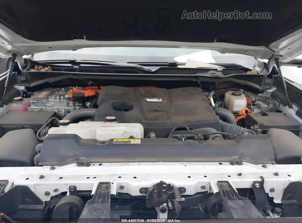 7SVAAABA7PX005703 2023 TOYOTA SEQUOIA White Հետևի տեսք