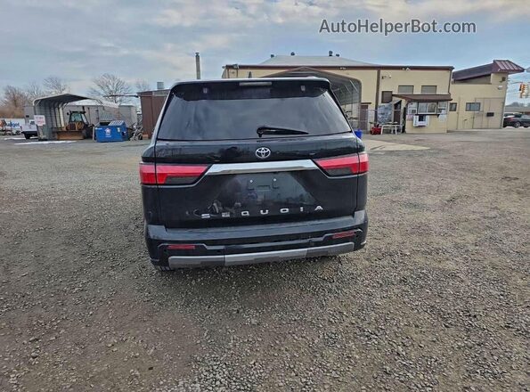 7SVAAABA8PX004088 2023 TOYOTA SEQUOIA Blue Widok z tyłu