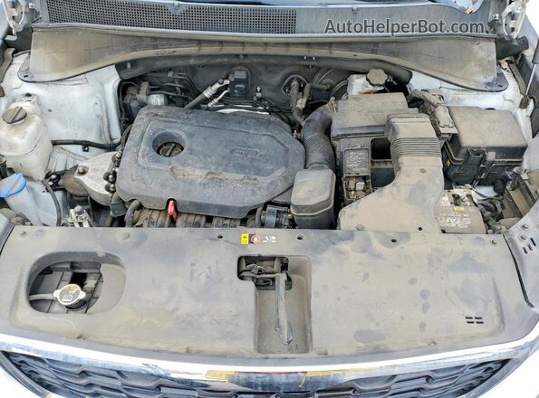 5XYPG4A37LG623169 2020 KIA SORENTO White 