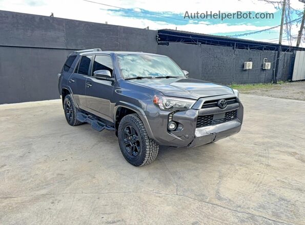 JTEMU5JR6M5902253 2021 TOYOTA 4RUNNER Gray Հետևի ձախ