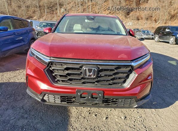 2HKRS4H7XTH419491 2026 HONDA CRV Красный 