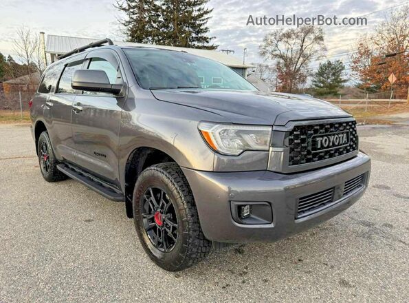 5TDEY5B10MS182254 2021 TOYOTA SEQUOIA Gray უკანა მარცხენა