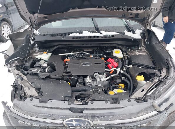JF2SLSRD7SH414304 2025 SUBARU FORESTER Brown უკანა ხედი