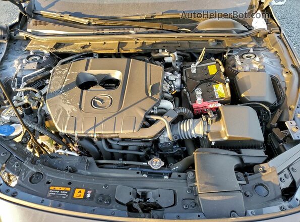 JM1BPBLM3S1750925 2025 MAZDA 3 Gray უკანა სალონის ხედი