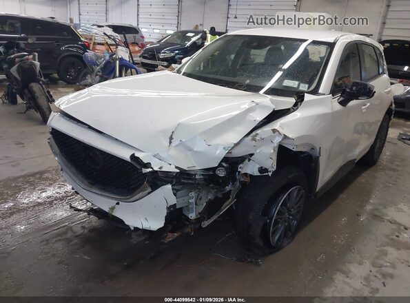 JM3KFBBMXK1629255 2019 MAZDA CX-5 Белый 