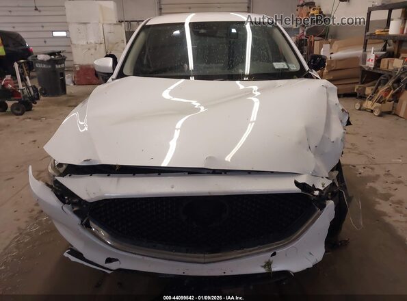 JM3KFBBMXK1629255 2019 MAZDA CX-5 Белый 
