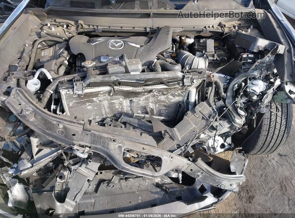 JM3TCBBY7N0612875 2022 MAZDA CX-9 Серый Вид сзади
