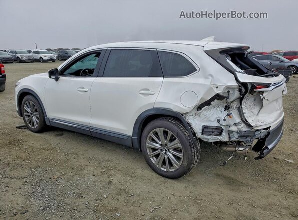 JM3TCBEY9P0634309 2023 MAZDA CX-9 White Задня ліва чверть