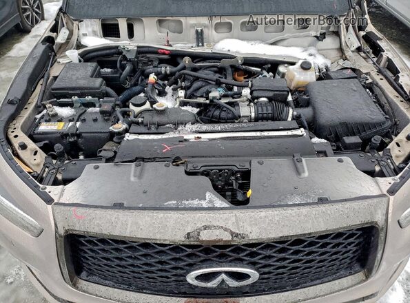 JN8AZ2AE1P9303699 2023 INFINITI QX80 Tan Вид підкапотного простору