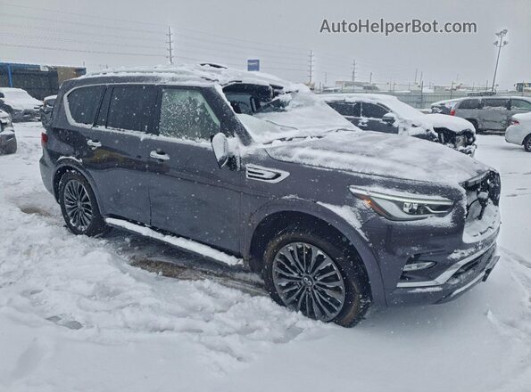 JN8AZ2BC7P9491058 2023 INFINITI QX80 Charcoal Передня права чверть