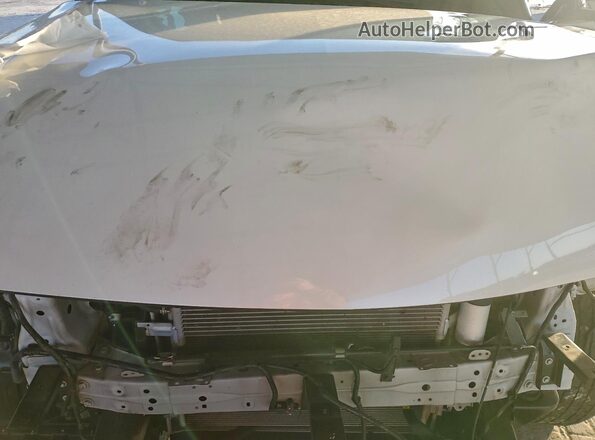 JN8AZ2BF4P9756917 2023 INFINITI QX80 White უკანა სალონის ხედი