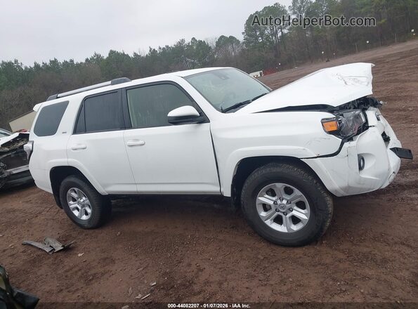 JTEMU5JR1R6273261 2024 TOYOTA 4RUNNER White უკანა სალონის ხედი