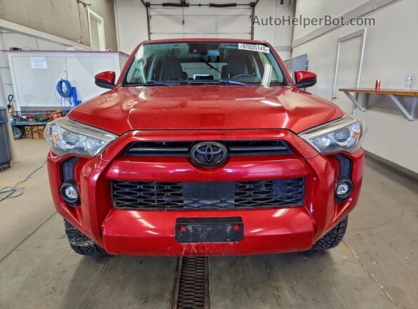 JTEMU5JRXM5933019 2021 TOYOTA 4RUNNER Красный Вид спереди