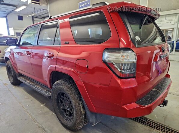 JTEMU5JRXM5933019 2021 TOYOTA 4RUNNER Красный Задняя левая четверть
