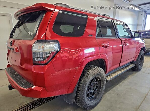JTEMU5JRXM5933019 2021 TOYOTA 4RUNNER Красный Задняя правая четверть
