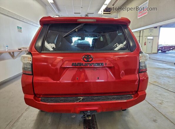 JTEMU5JRXM5933019 2021 TOYOTA 4RUNNER Красный Вид сзади