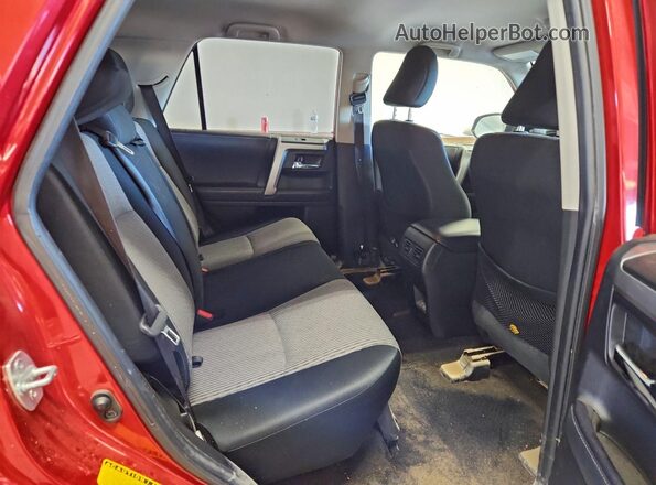 JTEMU5JRXM5933019 2021 TOYOTA 4RUNNER Красный Вид задней части салона