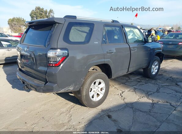 JTENU5JR6R6293011 2024 TOYOTA 4RUNNER Gray Trasero derecho