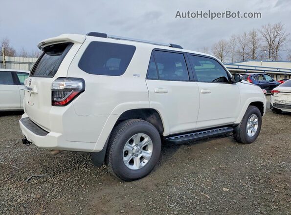 JTENU5JR7R6277335 2024 TOYOTA 4RUNNER White Tył prawy