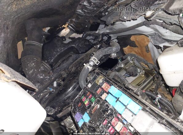 JTEPU5JR5R6238834 2024 TOYOTA 4RUNNER White Widok z tyłu