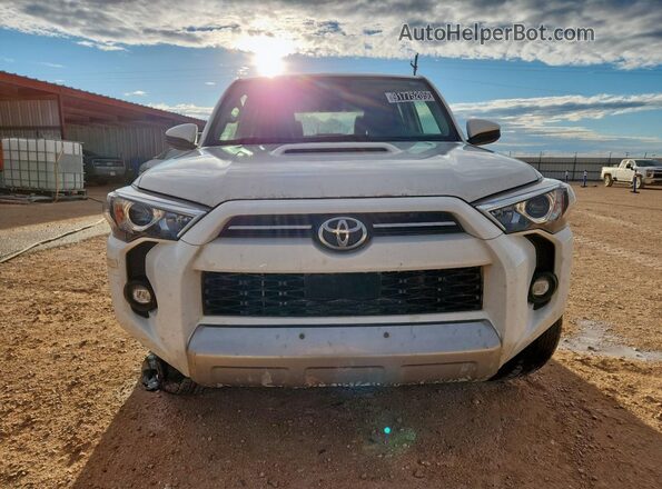 JTEPU5JR6P6149674 2023 TOYOTA 4RUNNER Белый Вид спереди