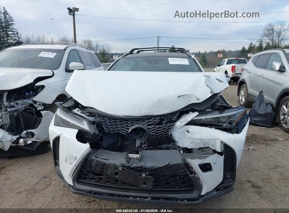 JTHB6JBH4P2146107 2023 LEXUS UX 250H White Vista del cuadro de instrumentos
