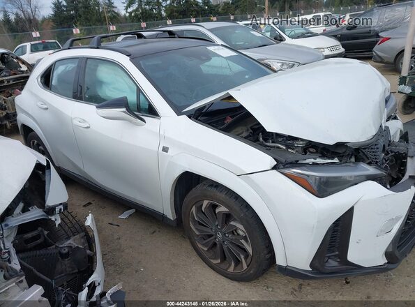 JTHB6JBH4P2146107 2023 LEXUS UX 250H White Vista interior trasera