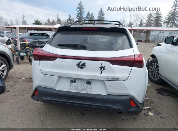 JTHB6JBH4P2146107 2023 LEXUS UX 250H White 
