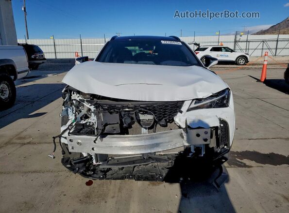 JTHB9JBH3R2076254 2024 LEXUS UX White Widok z przodu