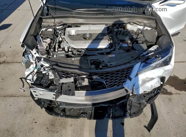 JTHB9JBH3R2076254 2024 LEXUS UX White Widok wnętrza z tyłu