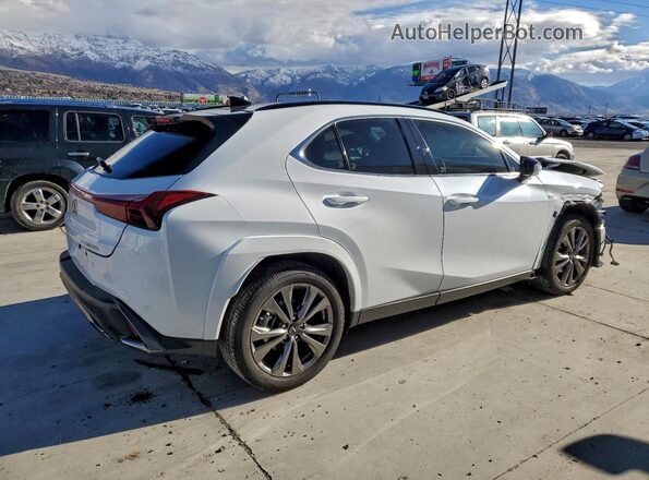 JTHB9JBH3R2076254 2024 LEXUS UX White Tył prawy