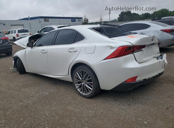 JTHC81D26K5037162 2019 LEXUS IS White Հետևի ձախ