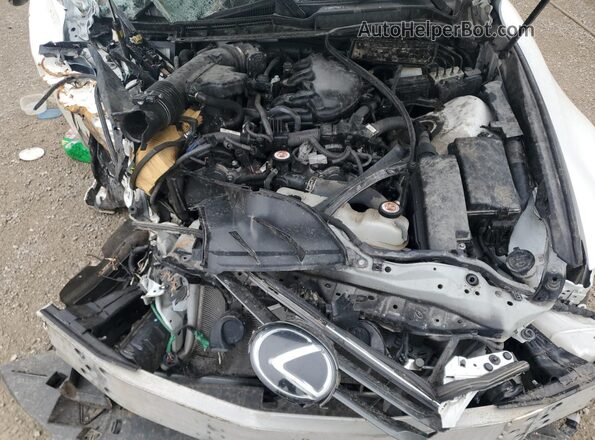 JTHC81D26K5037162 2019 LEXUS IS White Սալոնի հետևի տեսք