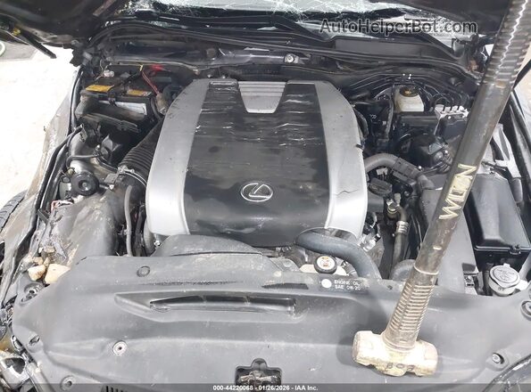 JTHCZ1D2XK5016294 2019 LEXUS IS 350 Gray Вид ззаду