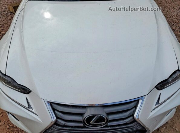 JTHDA1D25L5107325 2020 LEXUS IS Белый Вид задней части салона