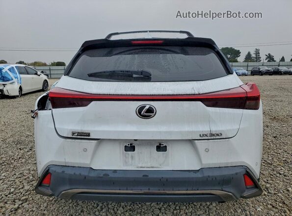 JTHE3JBH8M2034072 2021 LEXUS UX White უკანა ხედი