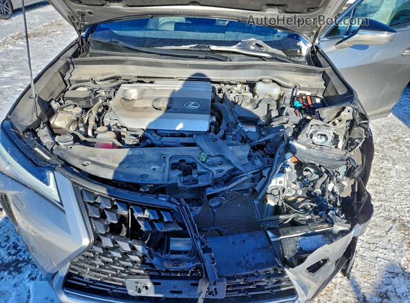 JTHL9JBH2L2025842 2020 LEXUS UX Silver Սալոնի հետևի տեսք