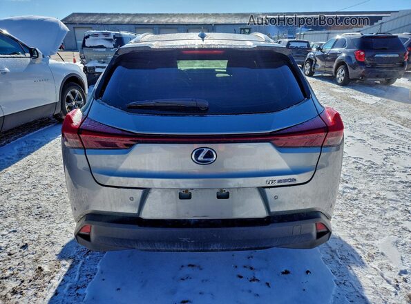 JTHL9JBH2L2025842 2020 LEXUS UX Silver Հետևի տեսք