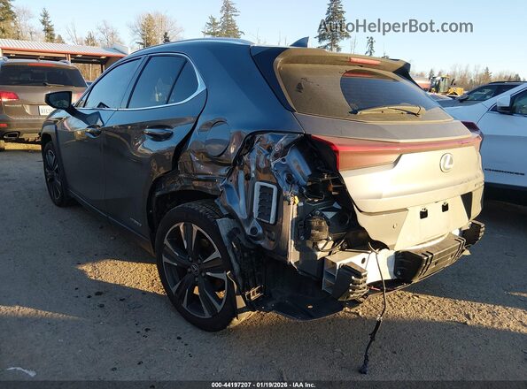 JTHL9JBH4M2048248 2021 LEXUS UX 250H Gray Trasero izquierdo