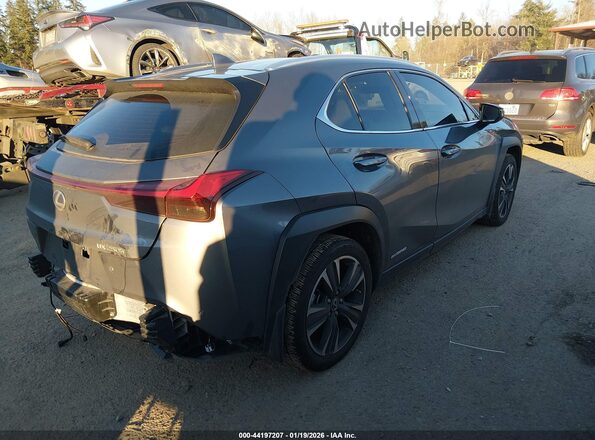 JTHL9JBH4M2048248 2021 LEXUS UX 250H Gray Trasero derecho