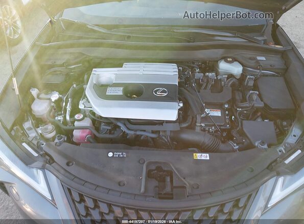 JTHL9JBH4M2048248 2021 LEXUS UX 250H Gray Vista trasera